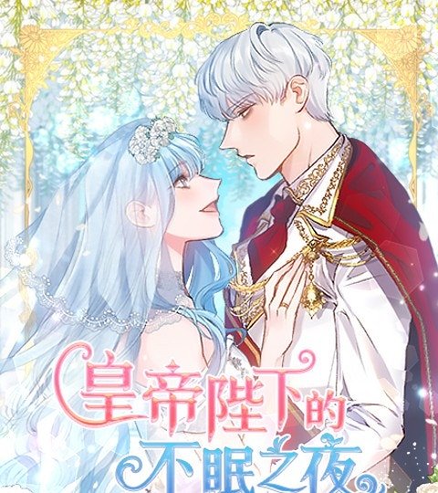 皇帝陛下的不眠之夜封面